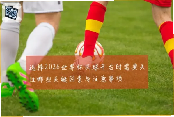 买球站开户注意事项：新手必看指南